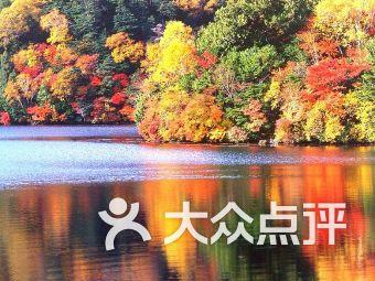 山海关路现在已经被外地游客占领了，这家藏在山海关路巷子里的猪蹄店，每天一开门就有许多食客排队来买